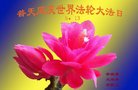 ֹ,żҿڴ󷨵ӹ編ִʦ𻪵(19)
