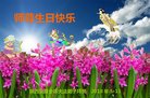 ֹ,󷨵ӹ編ִʦ𻪵(21)