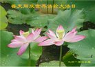 ֹ,󷨵ӹ編ִʦ𻪵(22)