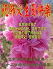 ֹ,󷨵ӹ編ִʦ𻪵(19)