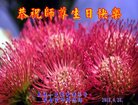 ֹ,󷨵ӹ編ִʦ𻪵(24)