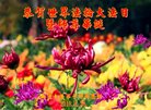 ֹ,󷨵ӹ編ִʦ𻪵(24)