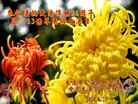 ֹ,󷨵ӹ編ִʦ𻪵(24)
