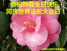 ֹ,󷨵ӹ編ִʦ𻪵(22)