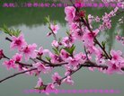 ֹ,󷨵ӹ編ִʦ𻪵(19)