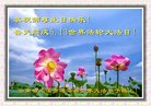 ֹ,ϴ󷨵ӹ編ִʦ𻪵(20)