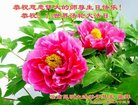 ֹ,ϴ󷨵ӹ編ִʦ𻪵(19)