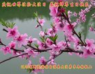 ֹ,󷨵ӹ編ִʦ𻪵(19)