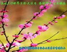 ֹ,󷨵ӹ編ִʦ𻪵(19)