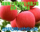ֹ,󷨵ӹ編ִʦ𻪵(25)