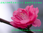 ֹ,󷨵ӹ編ִʦ𻪵(20)