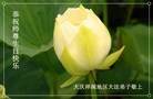 ֹ,󷨵ӹ編ִʦ𻪵(21)
