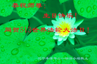 ֹ,Ϫ󷨵ӹ編ִʦ𻪵(21)