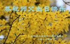 ֹ,󷨵ӹ編ִʦ𻪵(22)