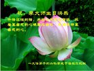 ֹ,ɹŴ󷨵ӹ編ִʦ𻪵(23)