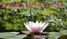 ֹ,󷨵ӹ編ִʦ𻪵(19)