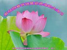 ֹ,󷨵ӹ編ִʦ𻪵(24)