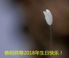 ֹ,󷨵ӹ編ִʦ𻪵(23)