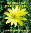 ֹ,󷨵ӹ編ִʦ𻪵(19)