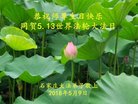 ֹ,ʯׯ󷨵ӹ編ִʦ𻪵(26)
