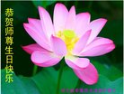 ֹ,ʯׯ󷨵ӹ編ִʦ𻪵(26)