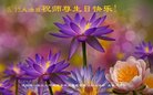 ֹ,󷨵ӹ編ִʦ𻪵(22)