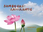 ֹ,󷨵ӹ編ִʦ𻪵(23)