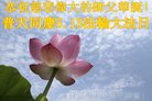 ֹ,մ󷨵ӹ編ִʦ𻪵(20)