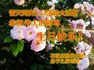 ֹ,ʯׯ󷨵ӹ編ִʦ𻪵(26)