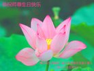 ֹ,󷨵ӹ編ִʦ𻪵(30)