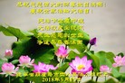 ֹ,«󷨵ӹ編ִʦ𻪵(24)