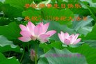 ֹ,д󷨵ӹ編ִʦ𻪵(23)