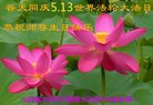 ֹ,ɽ󷨵ӹ編ִʦ𻪵(25)