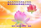 ֹ,ϴ󷨵ӹ編ִʦ𻪵(19)
