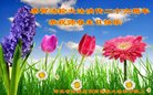 ֹ,ʯׯ󷨵ӹ編ִʦ𻪵(26)