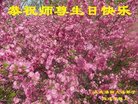 ֹ,󷨵ӹ編ִʦ𻪵(21)