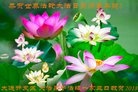 ֹ,󷨵ӹ編ִʦ𻪵(28)