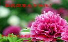 ֹ,ϴ󷨵ӹ編ִʦ𻪵(32)