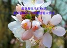 ֹ,󷨵ӹ編ִʦ𻪵(25)