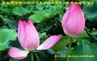 ֹ,󷨵ӹ編ִʦ𻪵(26)