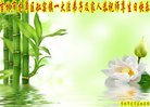 ֹ,д󷨵ӹ編ִʦ𻪵(23)