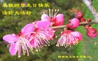 ֹ,󷨵ӹ編ִʦ𻪵(23)