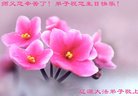 ֹ,ʡ󷨵ӹ編ִʦ𻪵(20)
