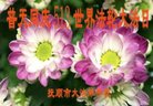 ֹ,󷨵ӹ編ִʦ𻪵(19)