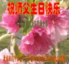 ֹ,󷨵ӹ編ִʦ𻪵(21)