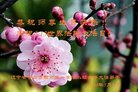ֹ,󷨵ӹ編ִʦ𻪵(18)