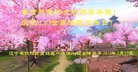 ֹ,󷨵ӹ編ִʦ𻪵(20)