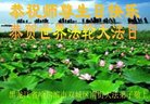 ֹ,󷨵ӹ編ִʦ𻪵(21)