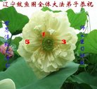 ֹ,󷨵ӹ編ִʦ𻪵(22)