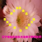 ֹ,󷨵ӹ編ִʦ𻪵(22)